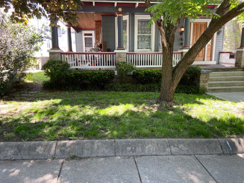 Sunny, spacious, studio apartment in 16th Street Heights (NW DC), parking included - Photo 1