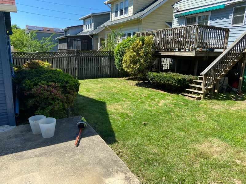 Sunny, spacious, studio apartment in 16th Street Heights (NW DC), parking included - Photo 2