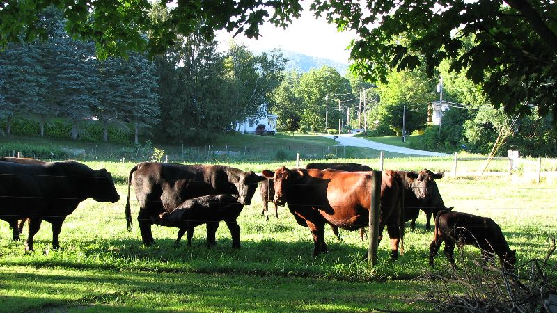 Country Homey Setting - Photo 12
