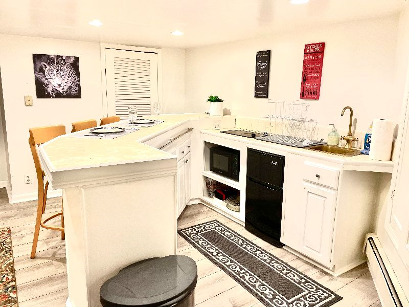 Gorgeous Basement Apartment Walkable to Children's National/WHC/Howard Hospital - Photo 4