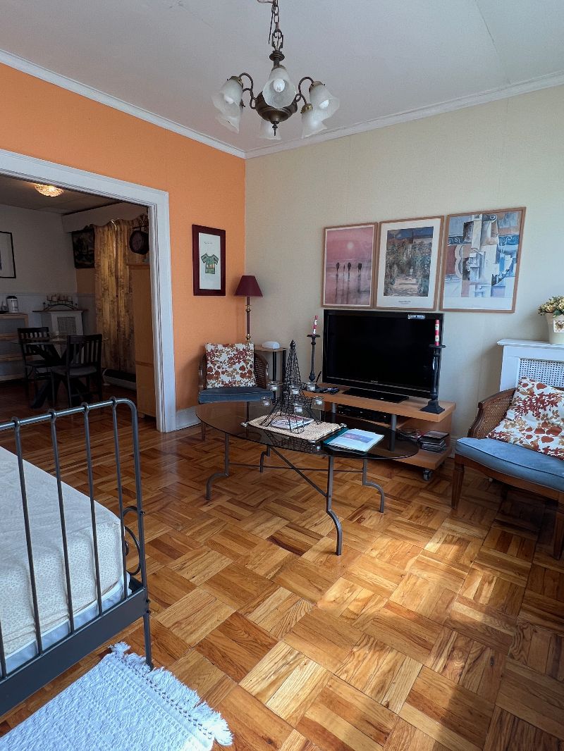 Cozy Apartment Near Bronx Hospitals - Photo 4