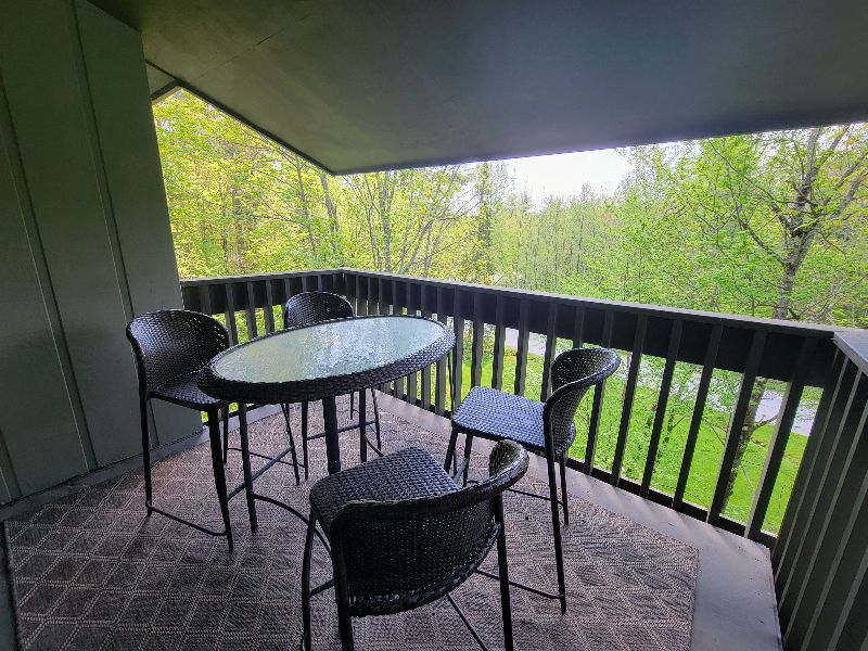 1400 SF 2 bed/2 bath duplex with pool - Photo 4
