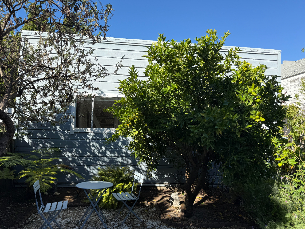 Private cottage in San Francisco - Photo 5