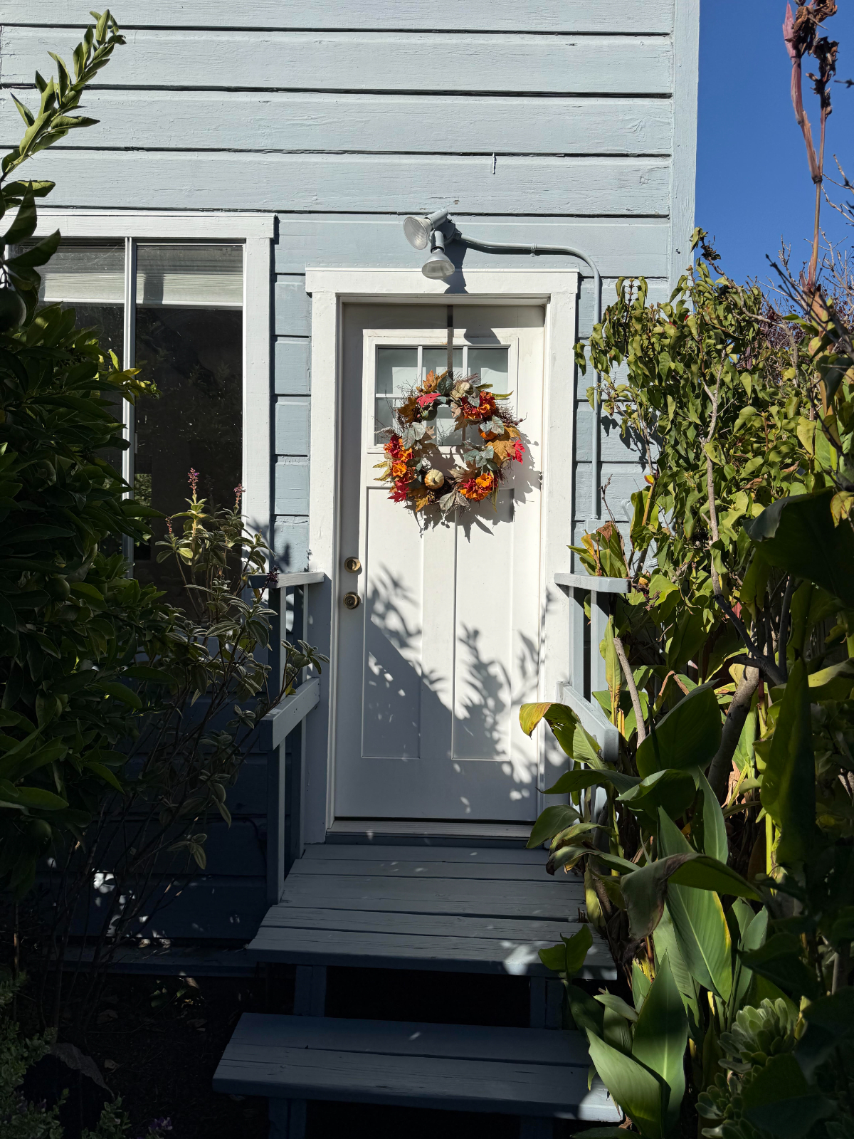 Private cottage in San Francisco - Photo 3
