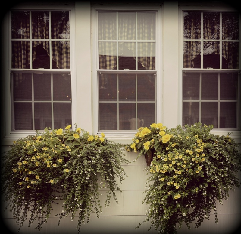 Cottage - Photo 6