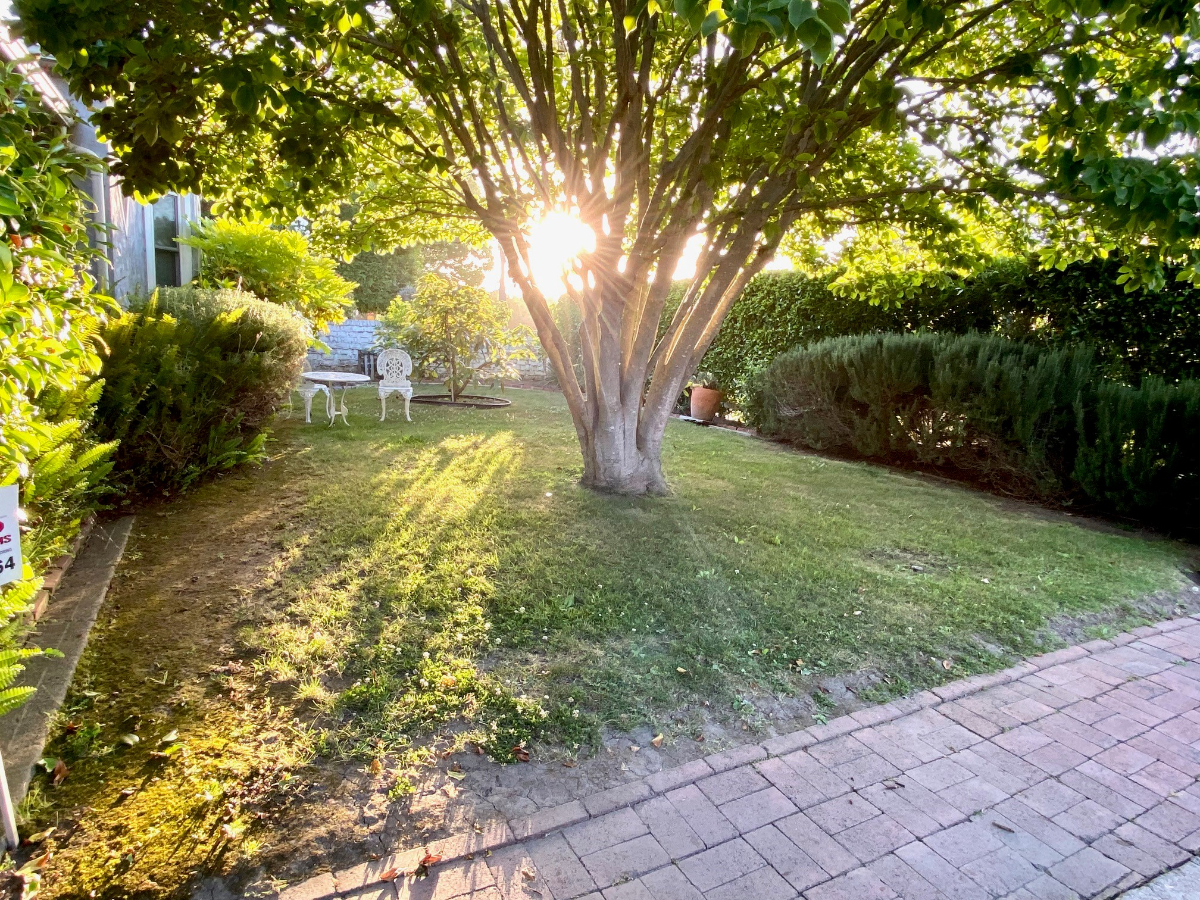 Beautiful Mar Vista Neighborhood 2Bd/2Ba Family Home - 3mi to beach - Photo 2