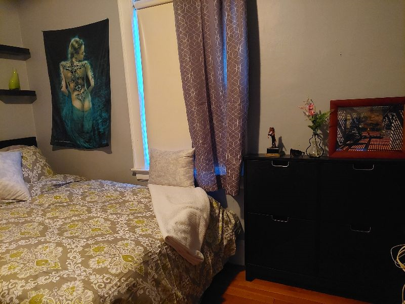 Nice, Quite, Private and Centrally located to many medical centers/ hospitals - Photo 1