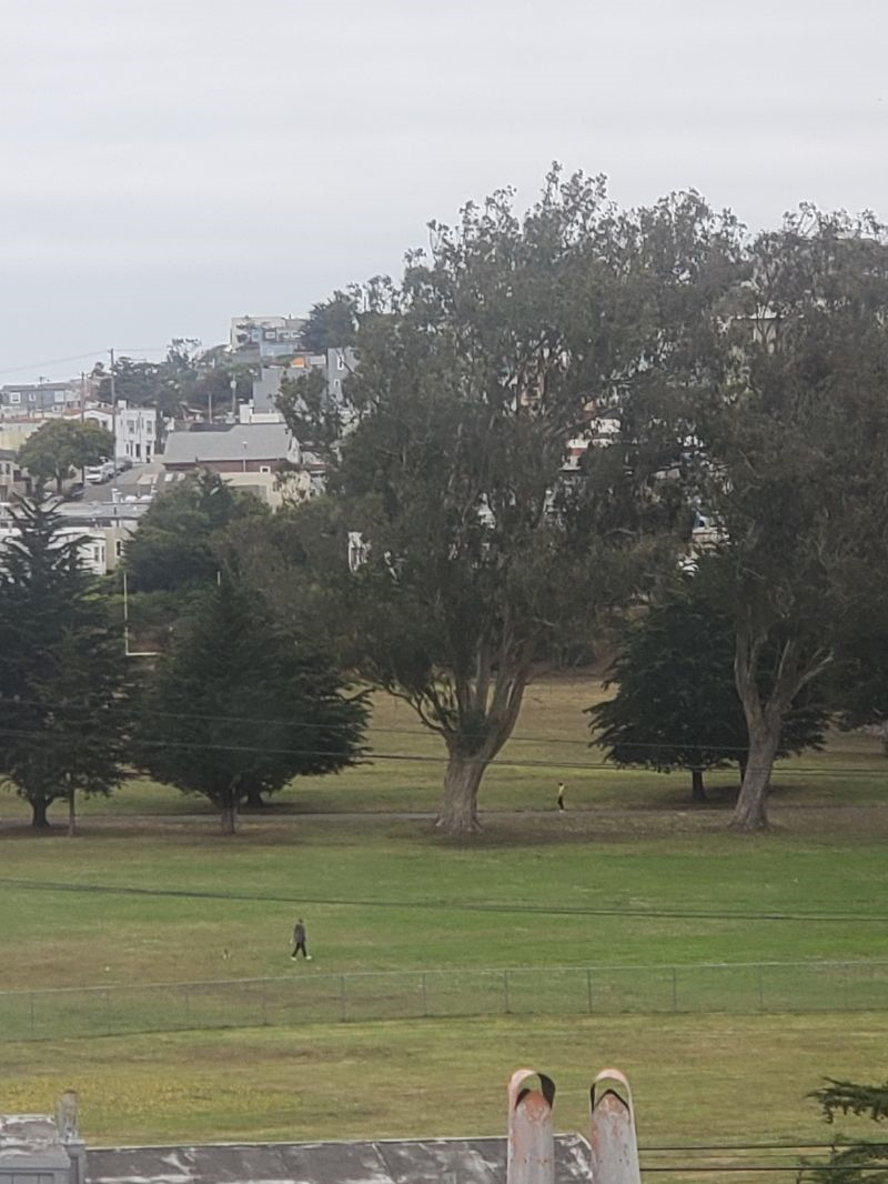 2 BDRM San Francisco with City Views - Photo 2