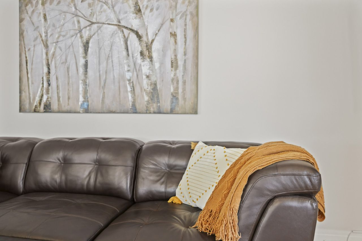 Quiet pet friendly 2 bedroom apartment with off street parking close to hospitals - Photo 8