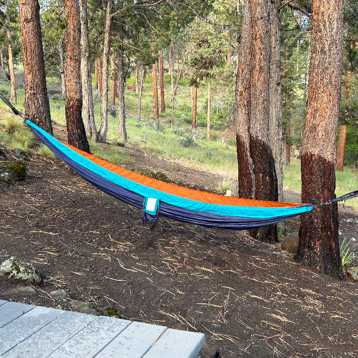adu in the trees pet friendly - Photo 3