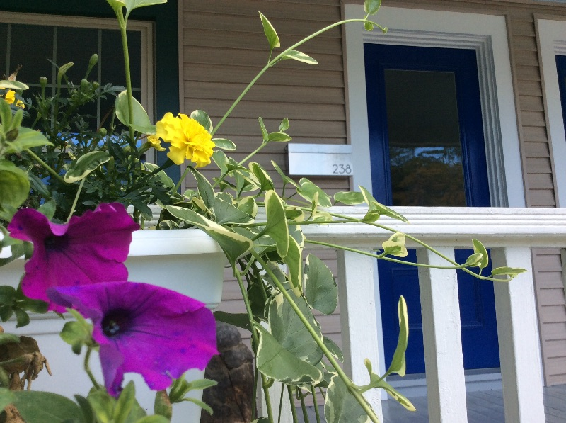 Modern In-Town Duplex - Photo 2