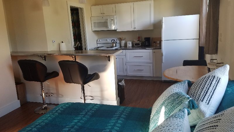 newly remodeled studio apartment, close to hospitals and colleges. - Photo 1