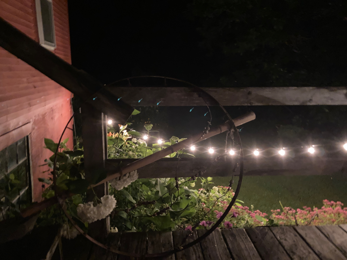 1 bedroom Apt, Minutes from Hospital - Photo 11
