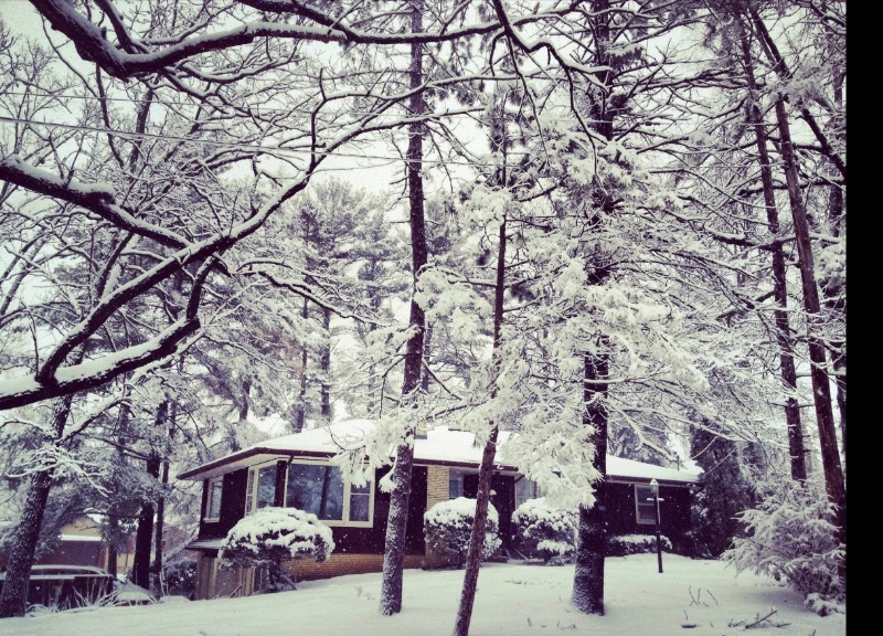 Hillcrest Hideaway - Photo 11