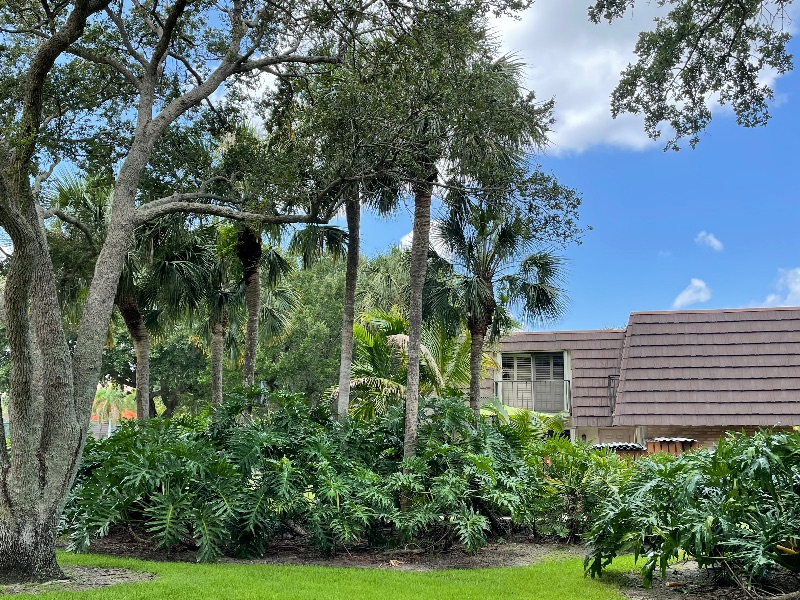 Walking Distance to Beautiful Beach from a Beautiful Townhouse