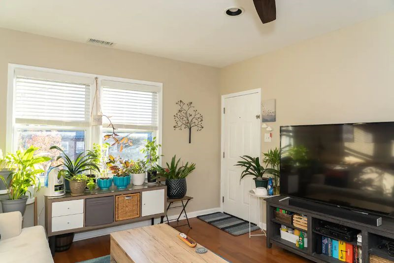 Spacious 1 bedroom Condo centrally located in DC - Photo 2