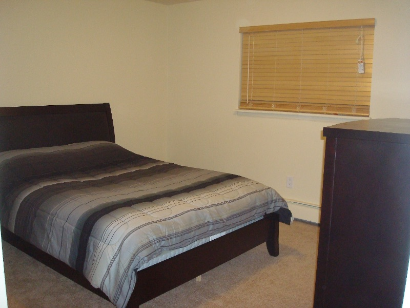 2 BR Furnished luxury apartment in great location - Photo 5