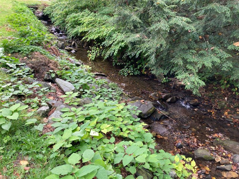 Cozy apartment along a babbling brook, 25 min... - Photo 8