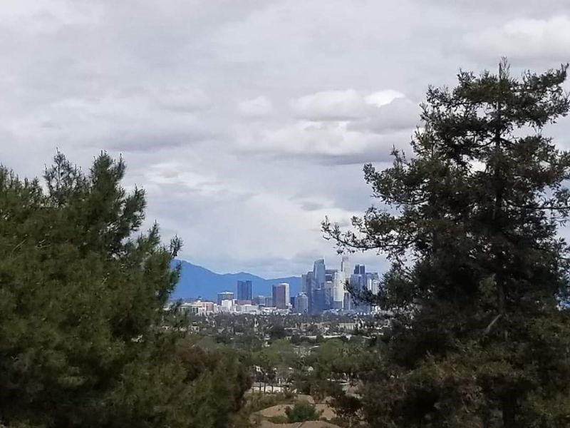 Private Hillside Retreat with Stunning City Views - Photo 1