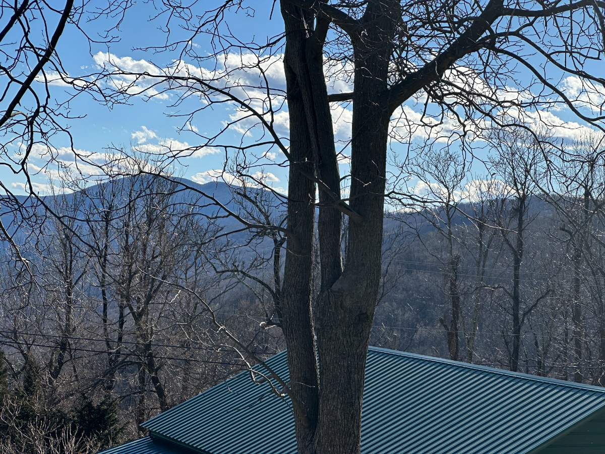 Expansive, Majestic Views of the Blue Ridge Mtns. But just 3 minutes to I-64, Dogs Welcome. - Photo 5