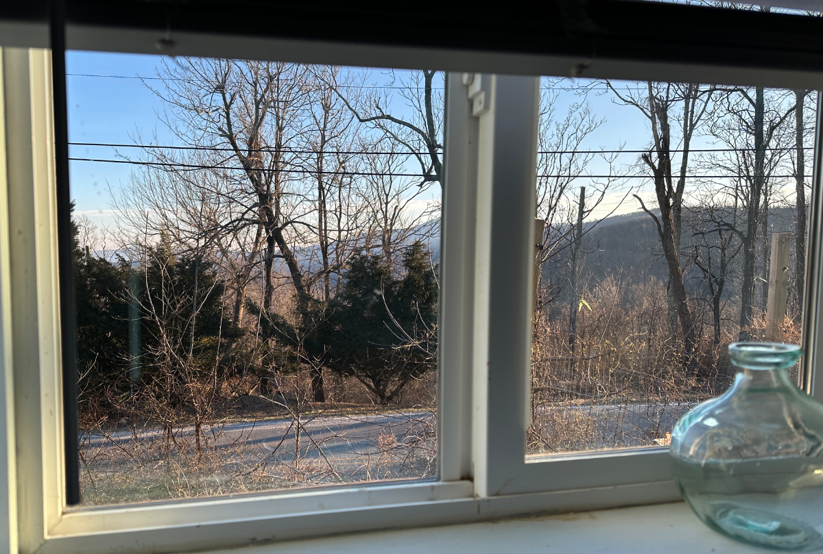 Expansive, Majestic Views of the Blue Ridge Mtns. But just 3 minutes to I-64, Dogs Welcome. - Photo 6