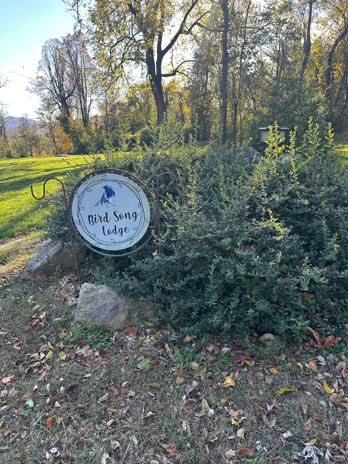 Expansive, Majestic Views of the Blue Ridge Mtns. But just 3 minutes to I-64, Dogs Welcome.