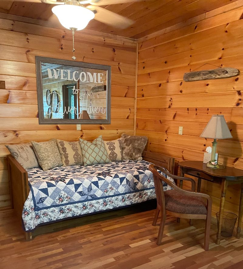 River Haven Cabin only 12 miles to Charleston, WV - Photo 7