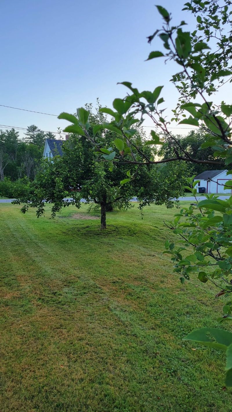The Tessie.   A  Cozy 2 Bed plus Den plus Garage in Charming Vermont - Photo 3