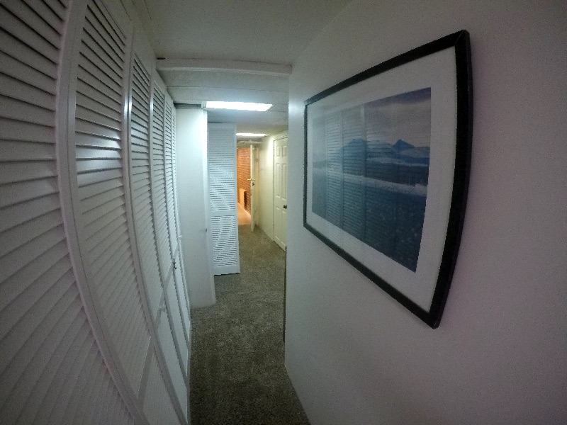 Charming Glover Park 2 Bedroom Basement Apartment - Photo 6