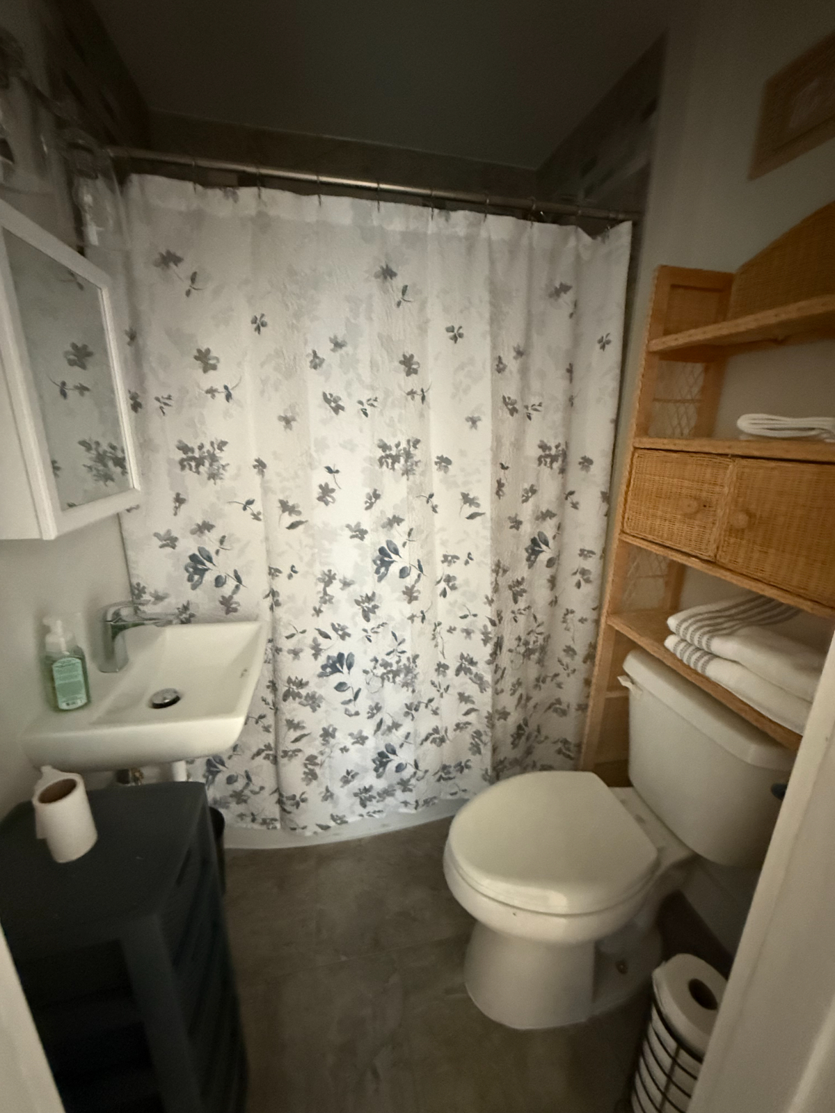 Nice 750+ square foot one bedroom with a porch.  $1400 all inclusive furnished, heath, internet and  - Photo 4