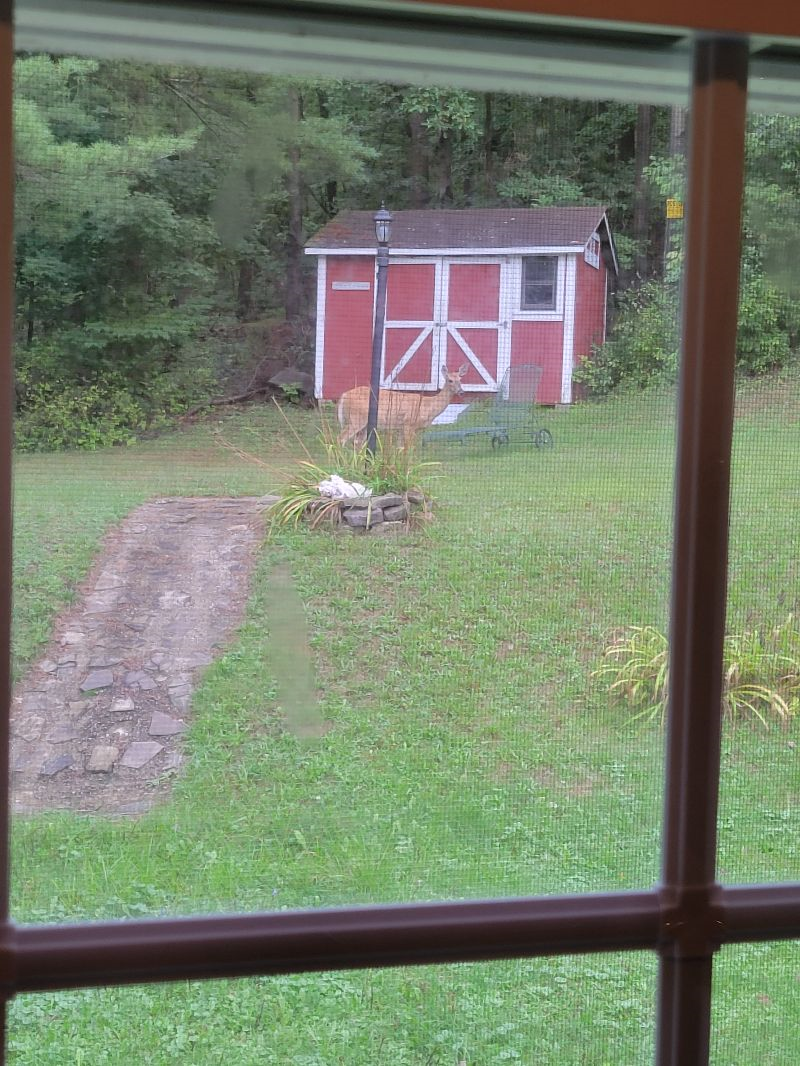 Master Bed, Priv Bath, Priv Entrance. Some Dogs ok - Photo 3