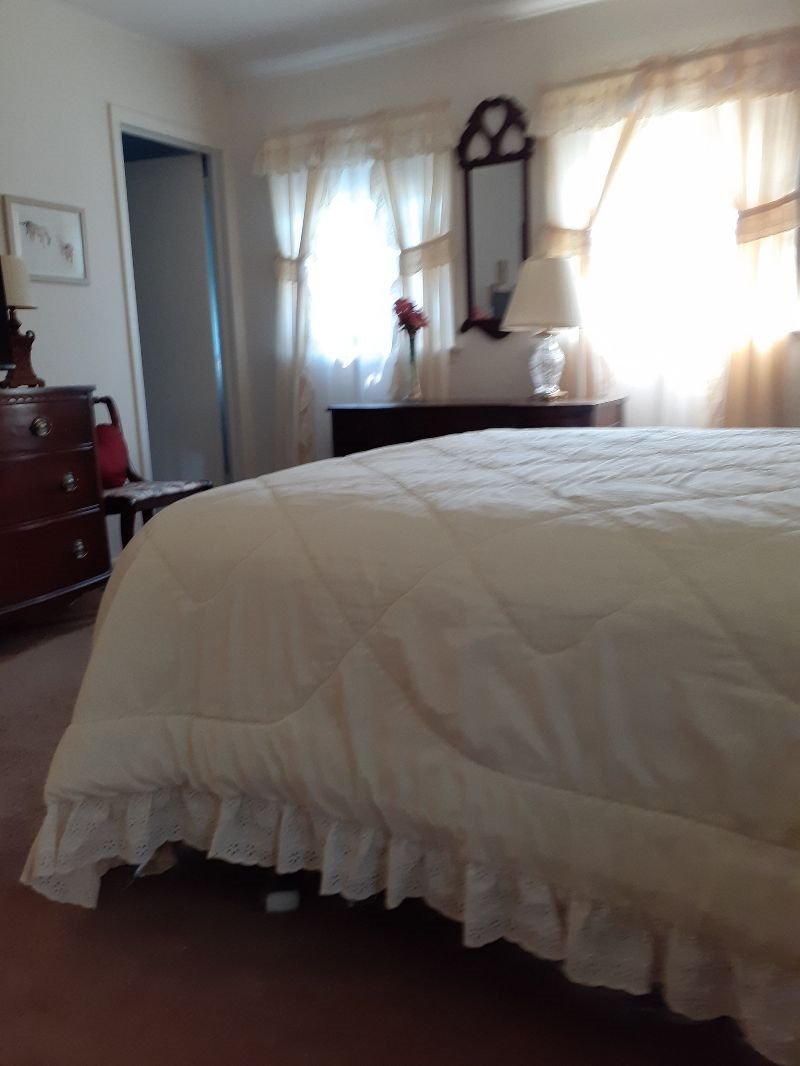 Large, sunny, peaceful private room in private home just a few miles away from Greenwich Hospital (C - Photo 3