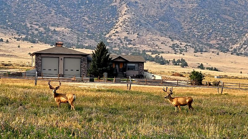 Carter Vista Mountain Home - AVAILABLE STARTING OCT 1, 2026 - Photo 1