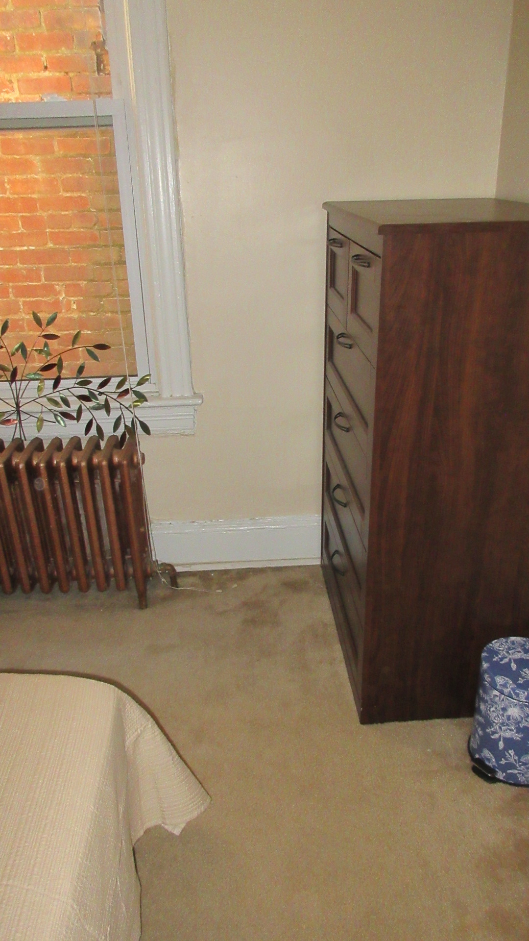 2BR FOR 1BR PRICE. NOT A BASEMENT. 1000SF NW DC. - Photo 8