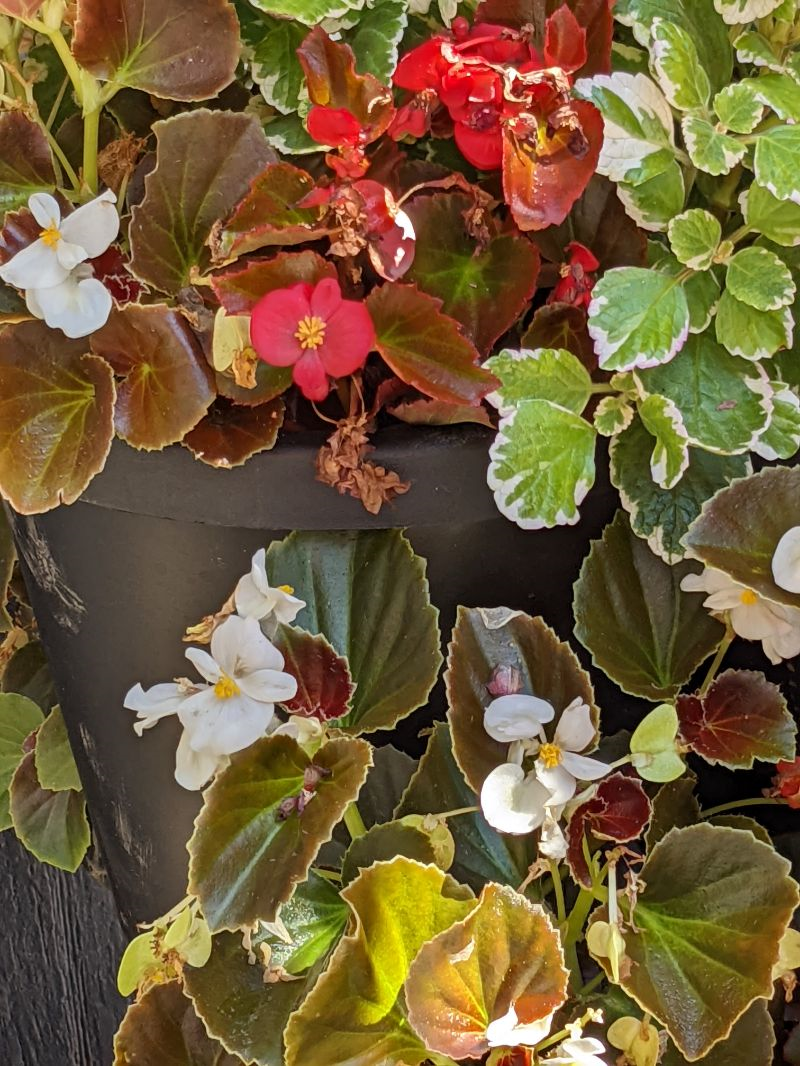 Refresh with a cozy stay - Photo 2