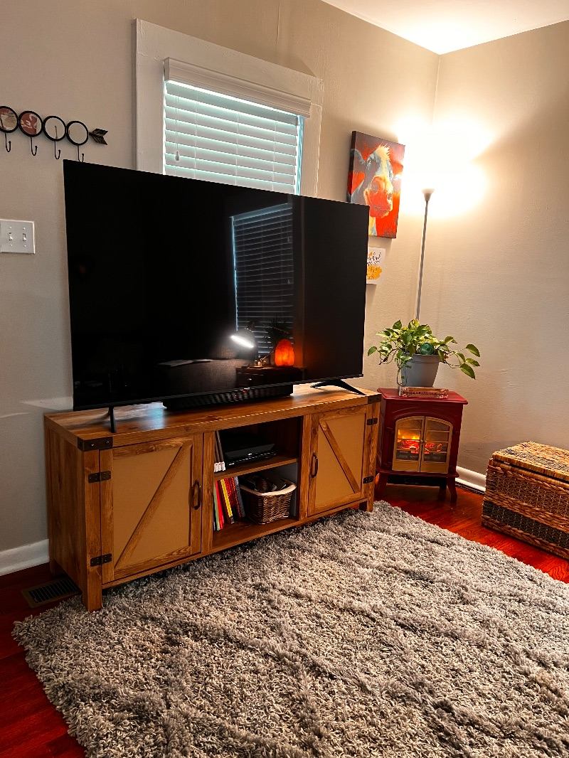 CUTE DOWNTOWN BUNGALOW CLOSE TO EVERYTHING - Photo 8
