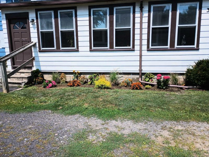 Safe 1BR Apt completely renovated close to Lake Ontario - Photo 12