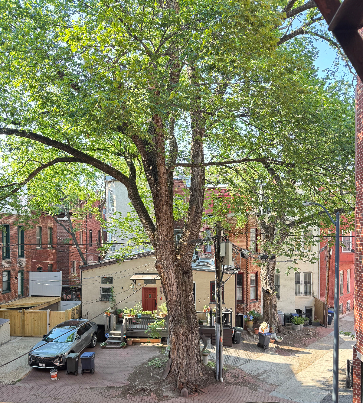 Perfectly Appointed Studio in historic Dupont Circle row home - Photo 12