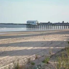 Studio condo Seashell - just steps from the beach