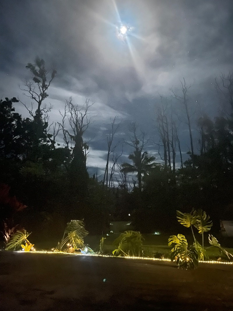 Pahoa Paradise