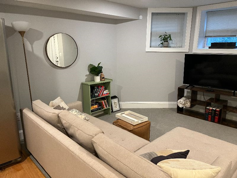 2BR English Basement w/ private entrance in leafy Bloomingdale - Photo 3