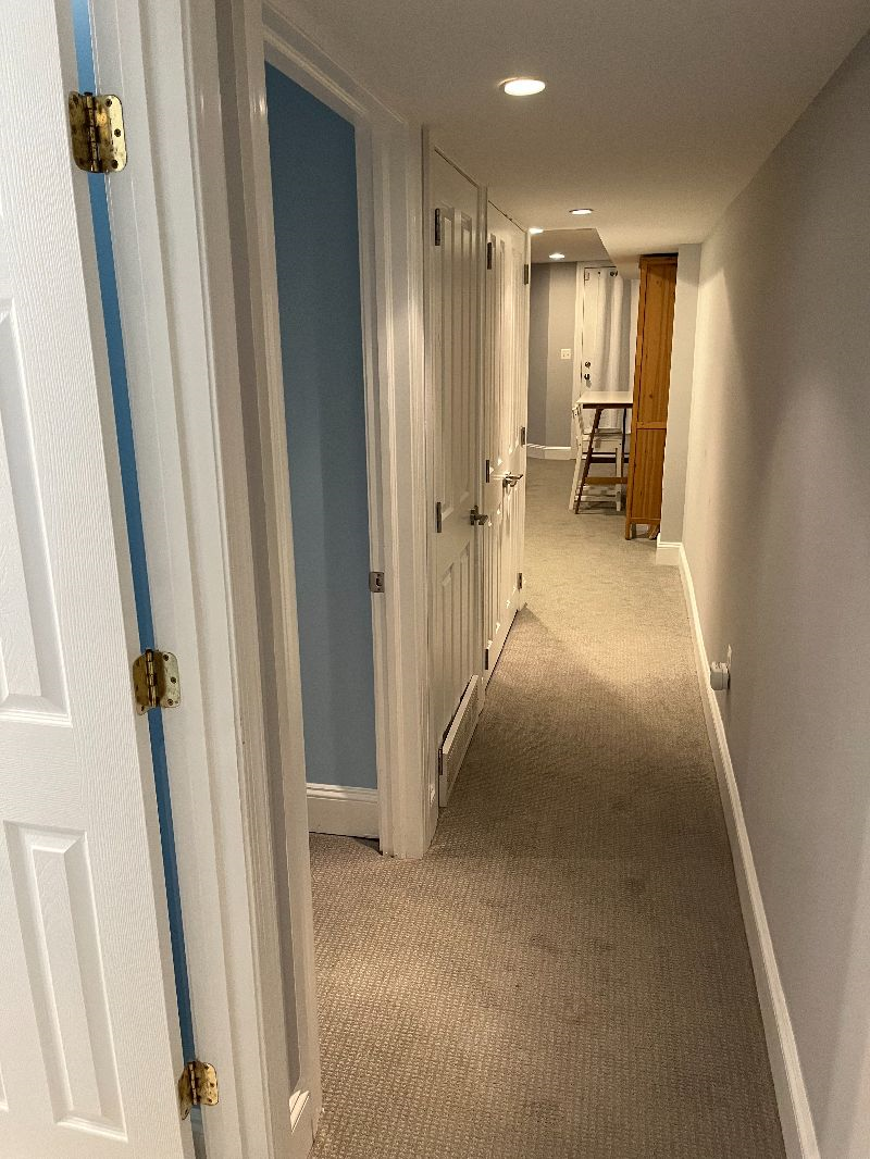 2BR English Basement w/ private entrance in leafy Bloomingdale - Photo 6