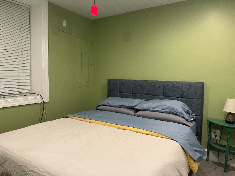 2BR English Basement w/ private entrance in leafy Bloomingdale - Photo 8