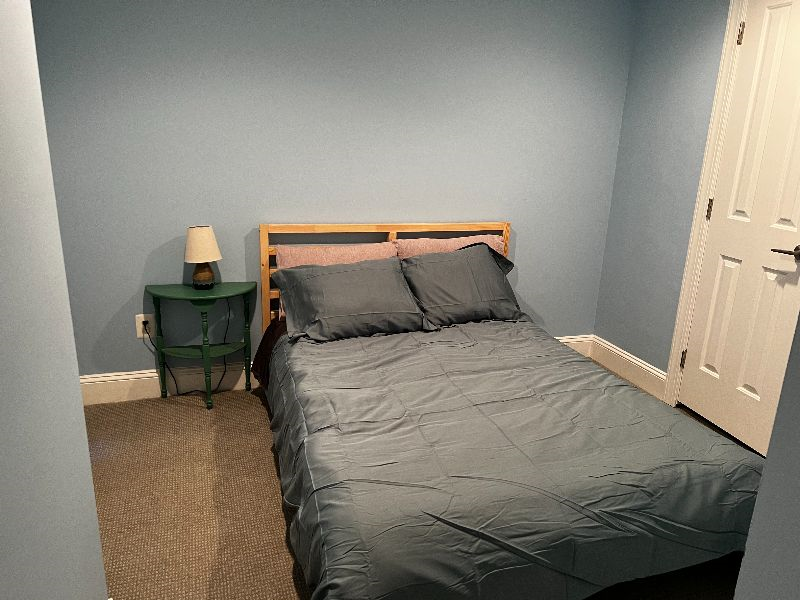 2BR English Basement w/ private entrance in leafy Bloomingdale - Photo 9