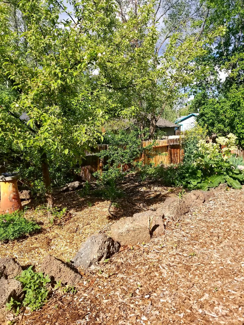 Quiet Midtown Retreat Near University and Hospital - Photo 5