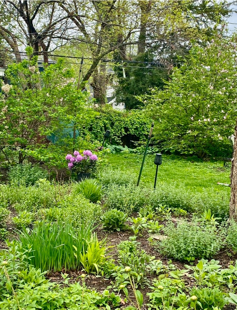 Great Location in Midtown Kansas City - Photo 4