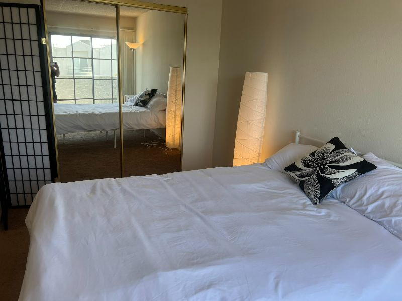 Master Bedroom with Private Bathroom in Santa Monica/West LA. Female Only Please - Photo 3