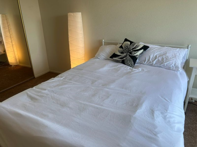 Master Bedroom with Private Bathroom in Santa Monica/West LA. Female Only Please - Photo 5