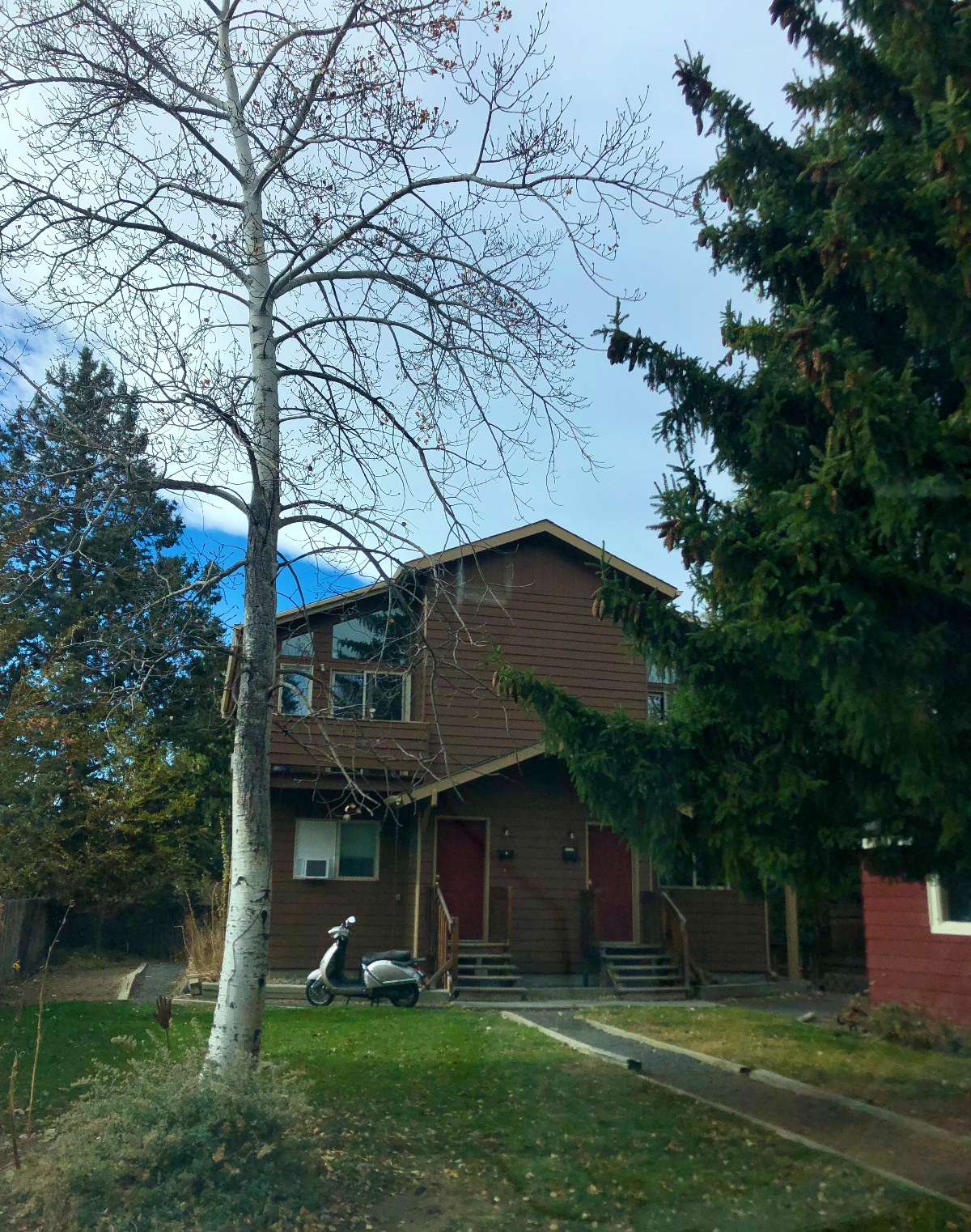Upper story with tree filled neighborhood views - Photo 2