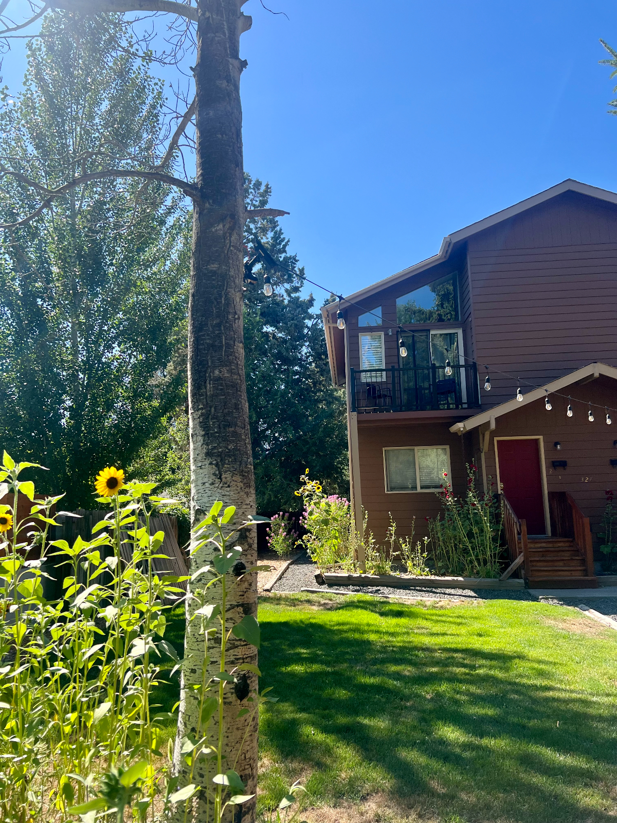 Upper story with tree filled neighborhood views - Photo 1